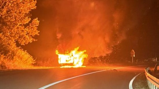 downloaded-image-1771242962