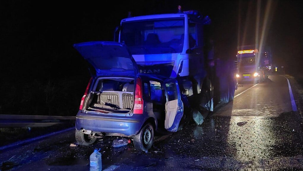 downloaded-image-1771243240