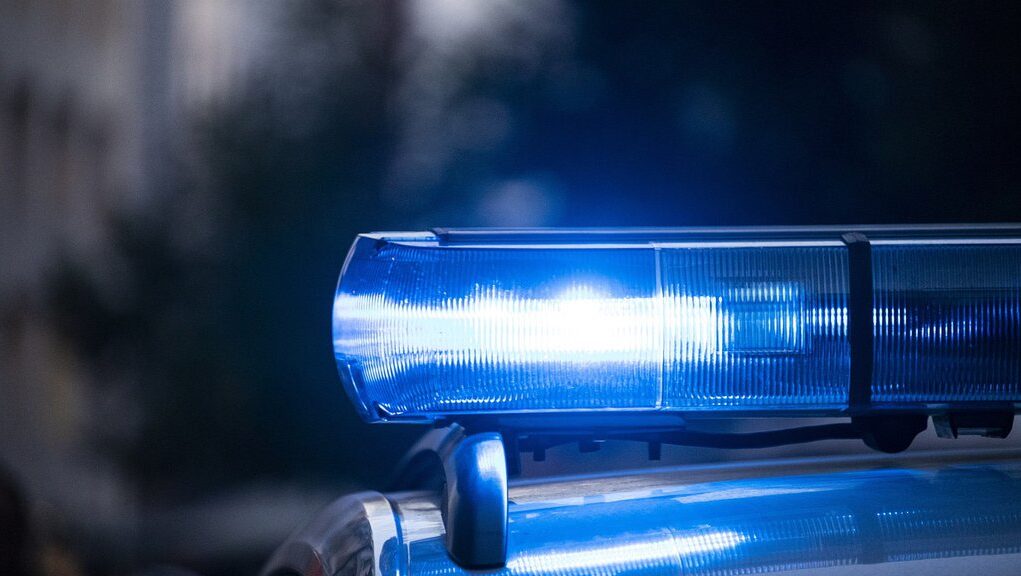 downloaded-image-1771252624