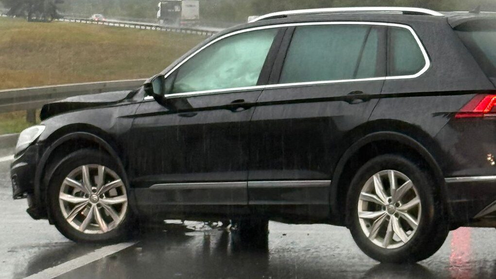 downloaded-image-1771252722