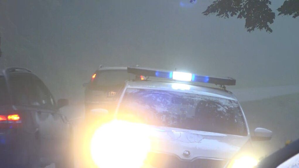 downloaded-image-1771337708