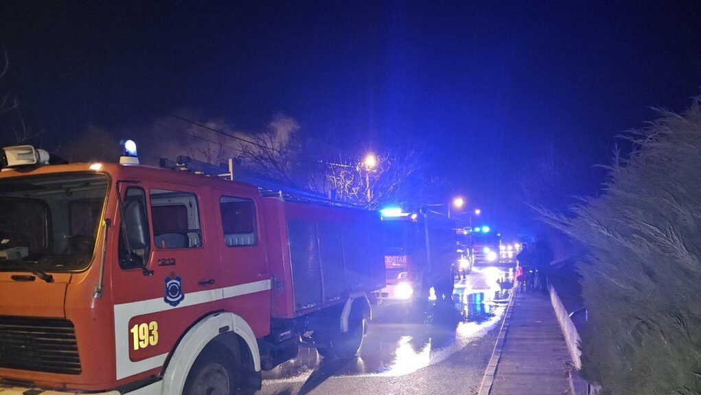 downloaded-image-1771433715