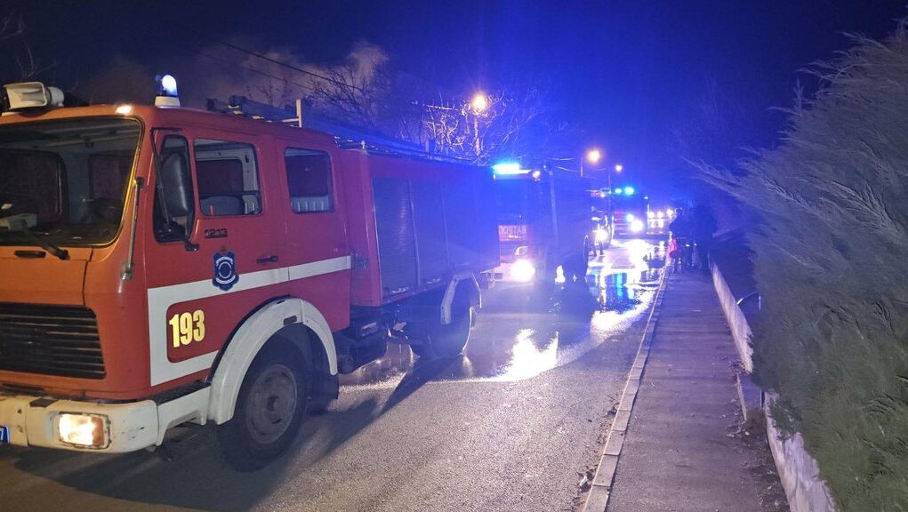 downloaded-image-1771699517