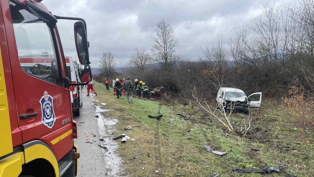 downloaded-image-1771768807