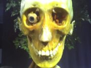 Ed Gein i mit o njegovoj ulozi u istrazi Ted Bundy slučaja: istina iza dve legende američkog kriminala