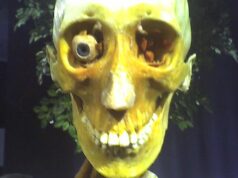 Ed Gein i mit o njegovoj ulozi u istrazi Ted Bundy slučaja: istina iza dve legende američkog kriminala