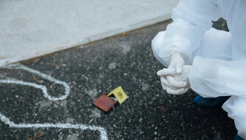 pexels-photo-10481247-2