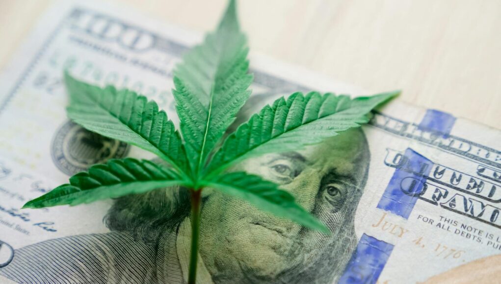 Photo by Kindel Media Close-up of a cannabis leaf on a US hundred dollar bill, highlighting cannabis culture and economy.