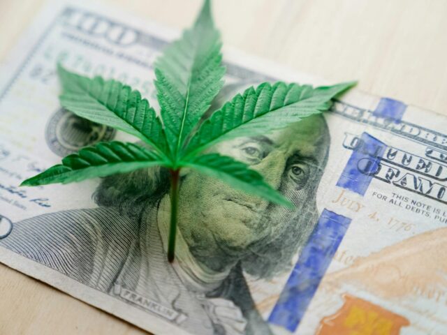 Close-up of a cannabis leaf on a US hundred dollar bill, highlighting cannabis culture and economy.