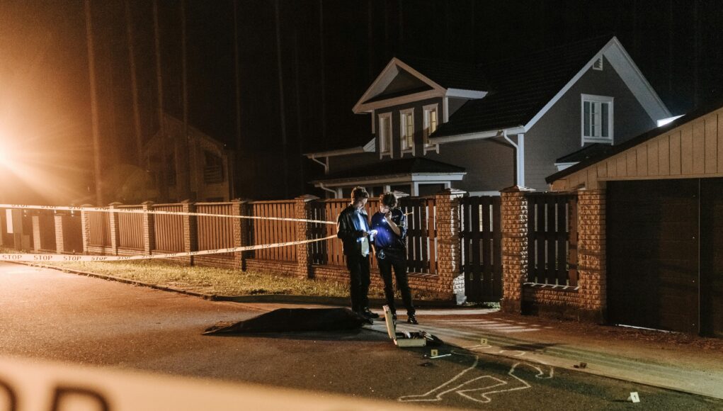 pexels-photo-10464813-3