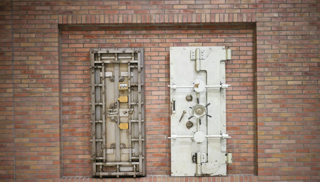 pexels-photo-19882101