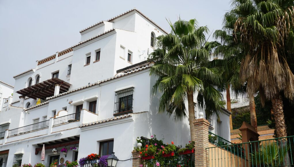 pexels-photo-30820133