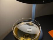Slučaj Kouri Richins: optužba za trovanje supruga koktelom u Juti 2023. godine A glass of golden-colored liquid sits elegantly on a black surface, illuminated by soft warm light.