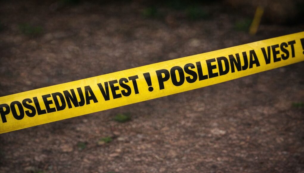 Hronika - Domaca hronika 1