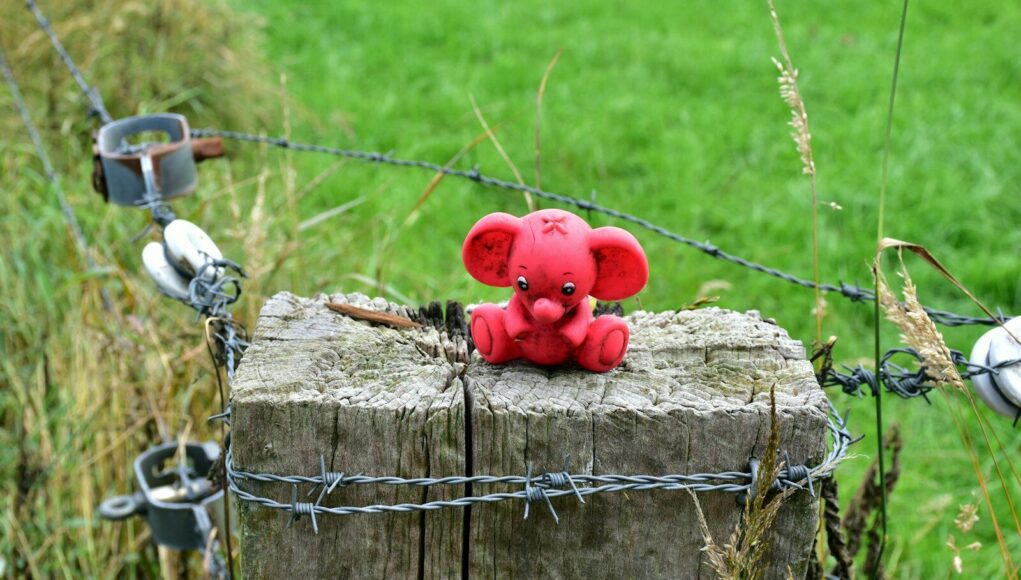 a red teddy bear sitting on top of a wooden post