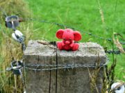 Slučaj Morgan Violi: DNK posle tri decenije otkriva ubicu sedmogodišnje devojčice iz Kentakija a red teddy bear sitting on top of a wooden post