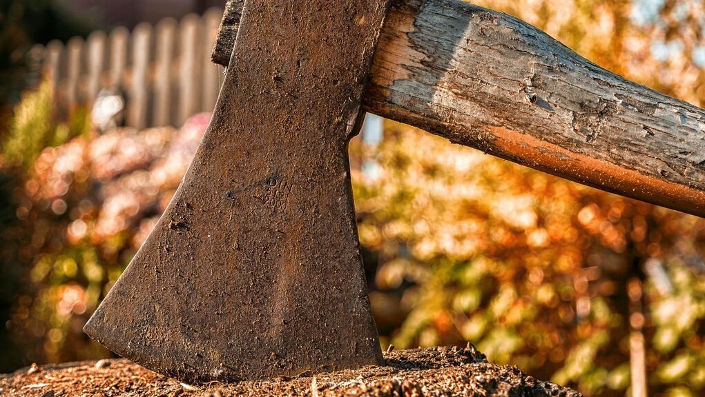 downloaded-image-1772867406