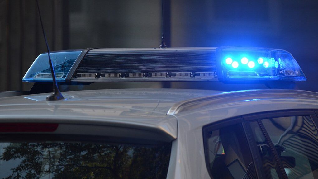 downloaded-image-1773477306