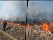 Požar na otvorenom kod Kučeva zahvatio 20 hektara, nema povređenih