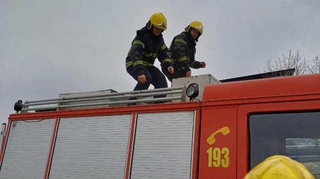 downloaded-image-1773645306