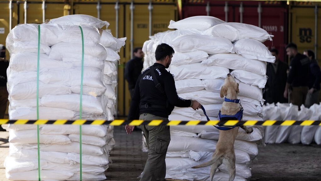 downloaded-image-1773698111