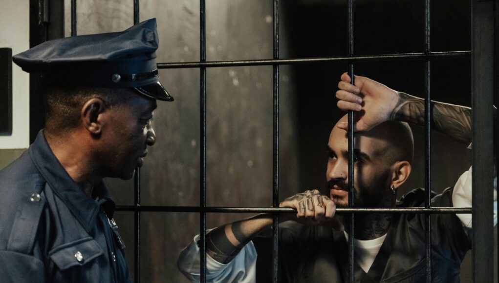 pexels-photo-10475156