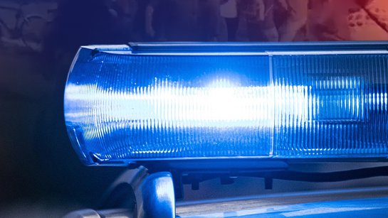 downloaded-image-1774095607