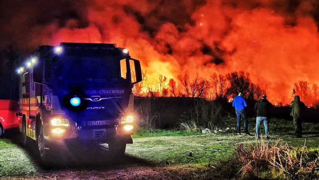 downloaded-image-1774185605