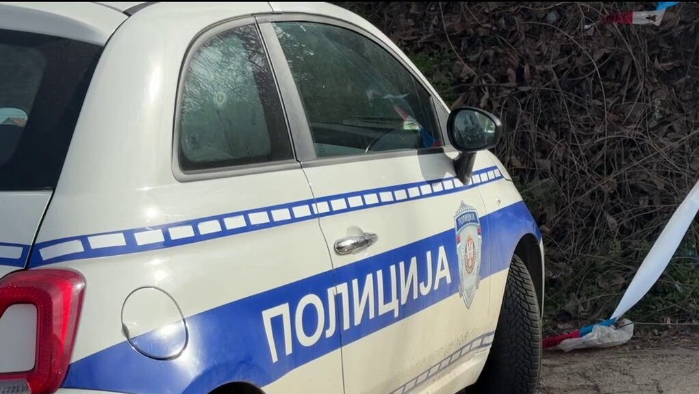 downloaded-image-1774190706