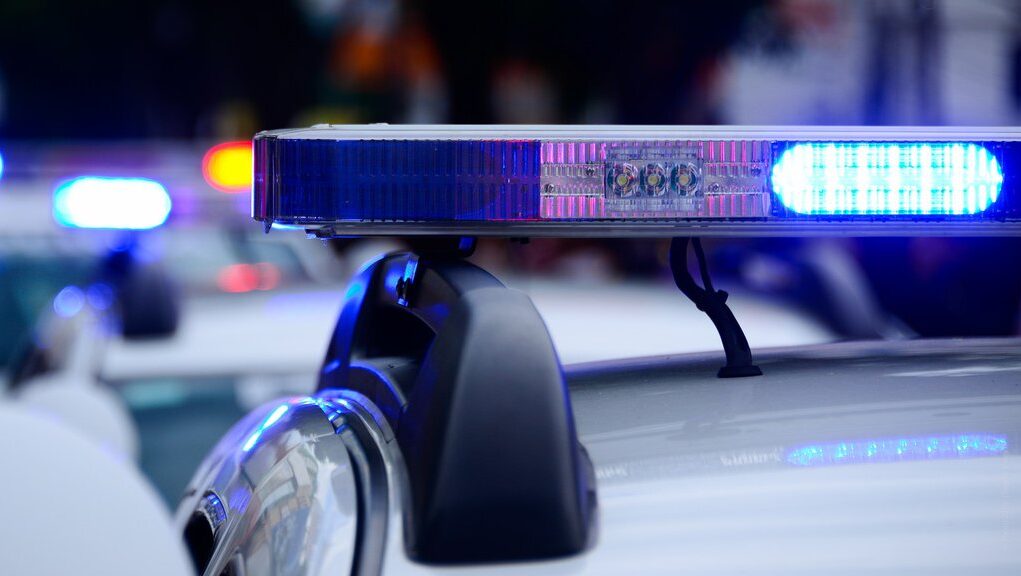 downloaded-image-1774381208