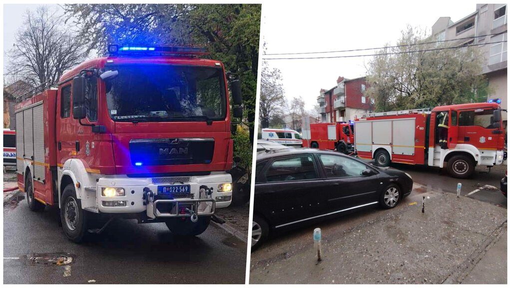 downloaded-image-1774696806