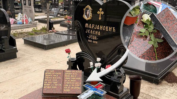 downloaded-image-1775113514