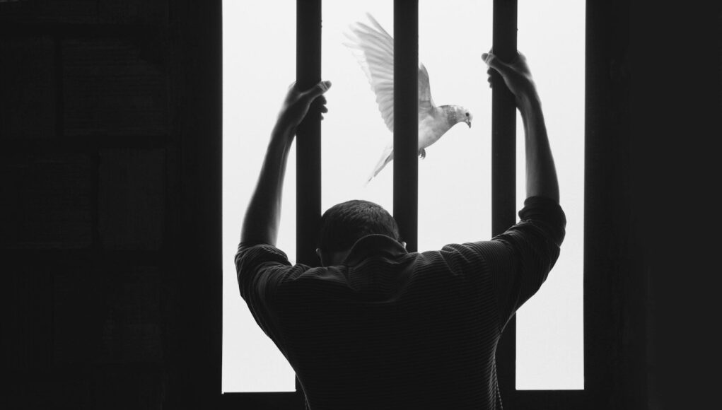 Photo by Hasan Almasi man in black long sleeve shirt raising his right hand