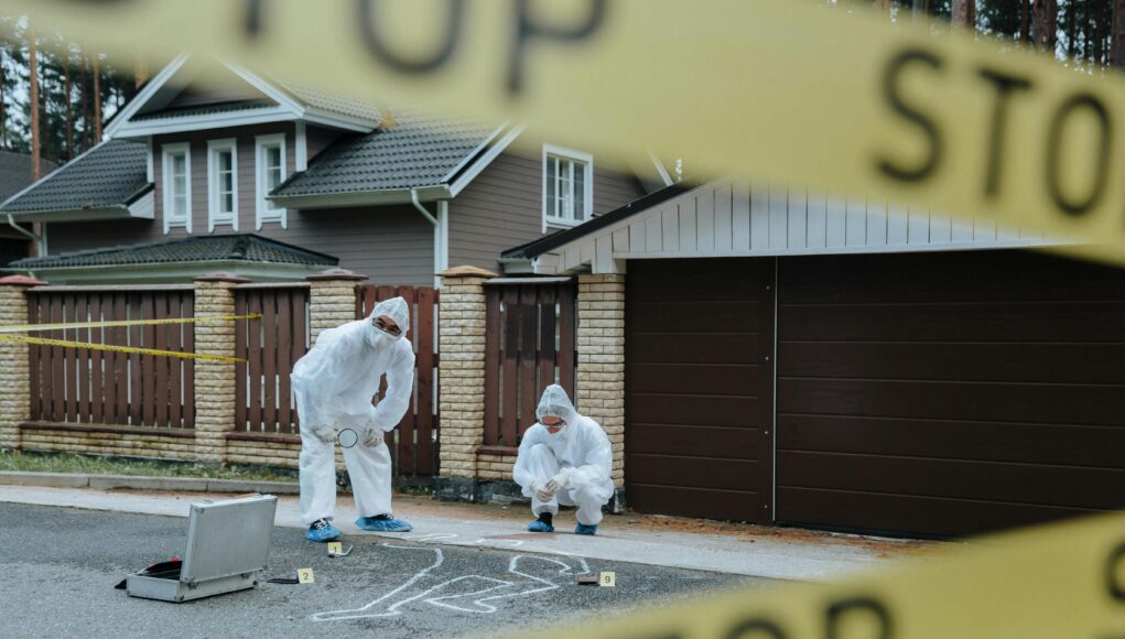 pexels-photo-10481266