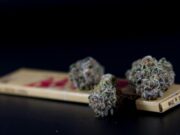 Više od tone kanabisa zaplenjeno kod Klermon-Ferana, droga pronađena u džakovima