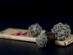 Više od tone kanabisa zaplenjeno kod Klermon-Ferana, droga pronađena u džakovima