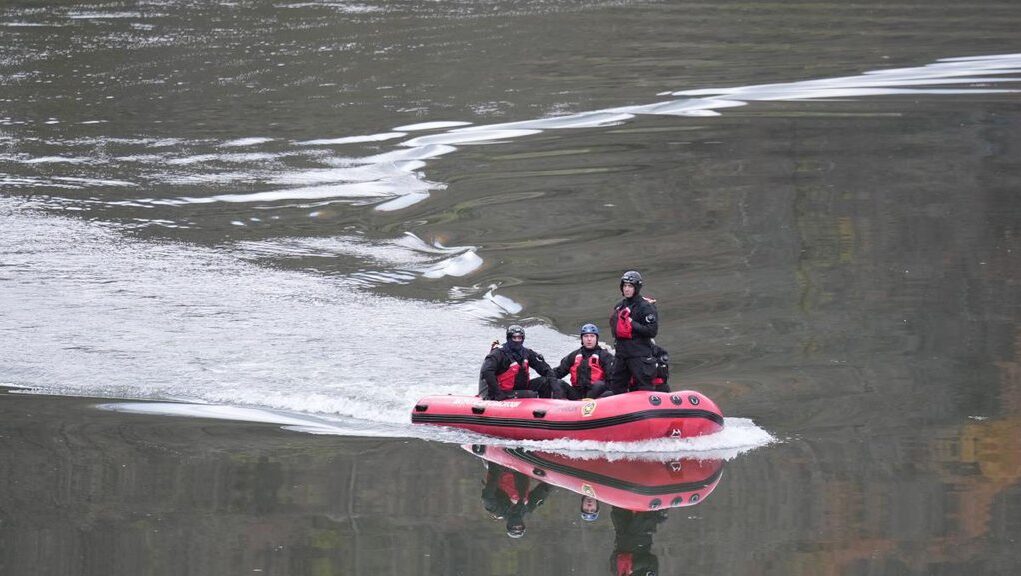 downloaded-image-1775925006