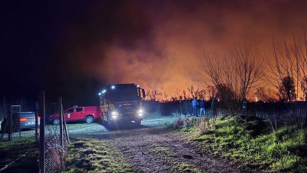 downloaded-image-1776023405