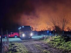 Požar na autobuskom stajalištu u Novom Sadu, nema povređenih