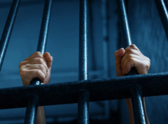 335656_shutterstock-2610586611-1_s