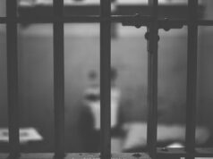 Osumnjičen za provalu u firmu na Grbavici uhapšen u Novom Sadu