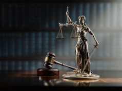 Dejan Pelević iz Sočanice u pritvoru mesec dana po odluci suda u Prištini