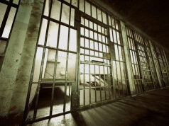 Darko Elez napustio zatvor u Sremskoj Mitrovici