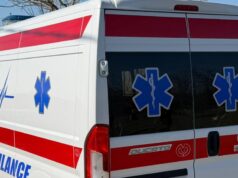 Muškarac poginuo tokom seče drveta na planini Jadovnik