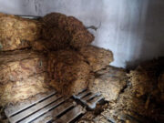 U Rumi uhapšen muškarac iz Sremske Mitrovice zbog šverca 540 kilograma duvana