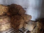 Policija u Rumi zaplenila 540 kilograma duvana, uhapšen muškarac iz Sremske Mitrovice