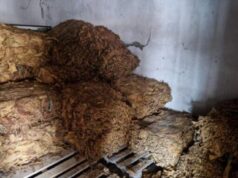 Policija u Rumi zaplenila 540 kilograma duvana, uhapšen muškarac iz Sremske Mitrovice