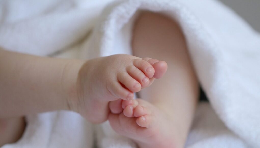 baby, child, grandchild, feet, baby feet, infant, children's feet, toes, cute, baby, baby, baby, baby, baby