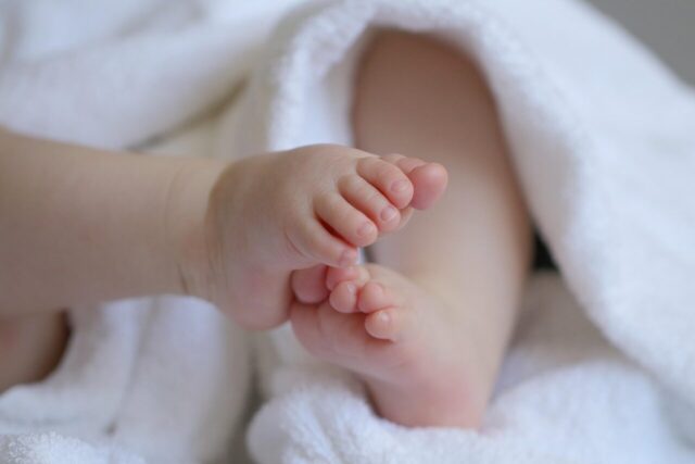 Photo by Marjonhorn baby, child, grandchild, feet, baby feet, infant, children's feet, toes, cute, baby, baby, baby, baby, baby