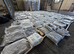 387736_mup-hapsenje-droga_s